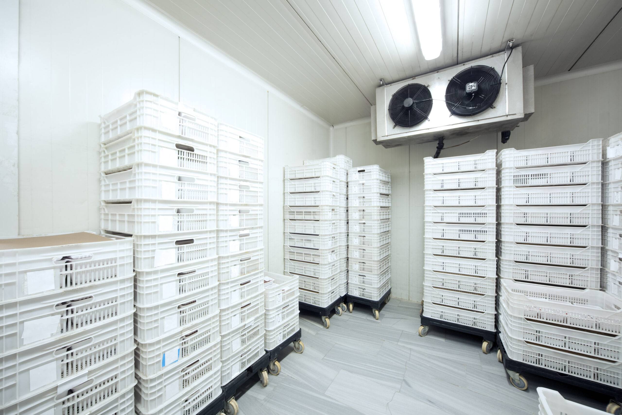 Meat Storage at -30 Celcius Stacked meat and burger packs are at -30 degrees celcius in a meat processing factory.