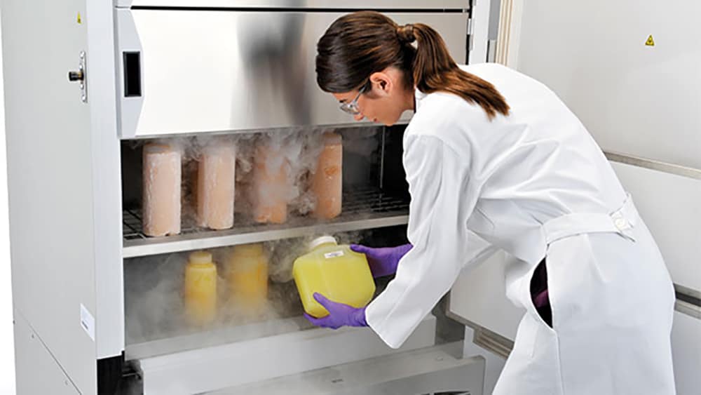 Freezer and Deep Freezer Manufacturer Solutions Freezer and Deep Freezer Manufacturer Solutions