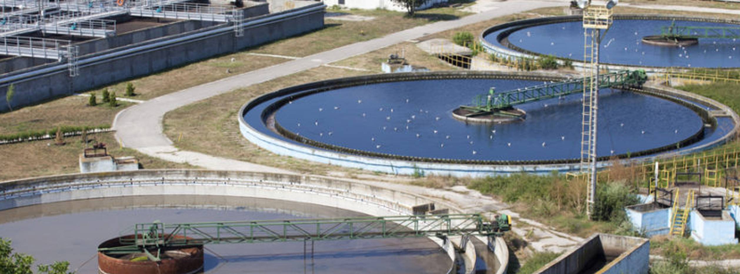 sewage sewage