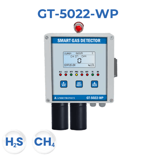 Smart Dual Channel Gas Detector